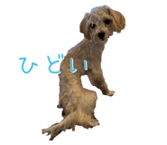 840879666