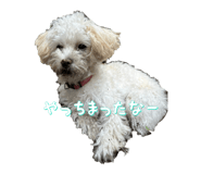 840879669