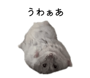 840879721