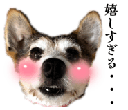 840879987