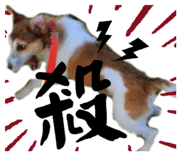 840880006