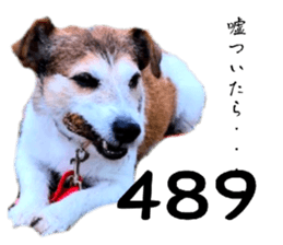 840880007