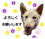 840880160
