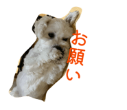 840880169