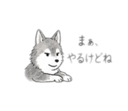840880223