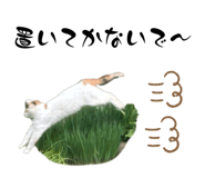 840880233