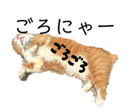 840880238