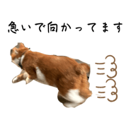 840880240