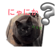 840880245