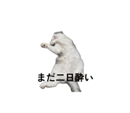 840881051