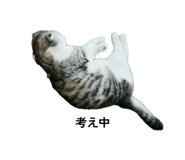 840881052