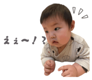840881136