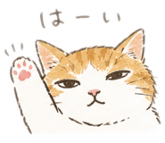 840881155