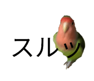840881229
