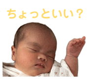 840881256