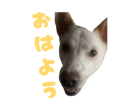 840881354