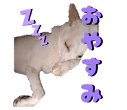 840881355