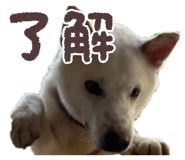 840881356