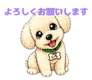 840881511