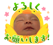 840881555