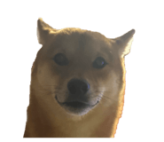 840881595