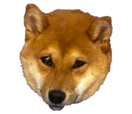 840881600