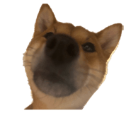 840881607