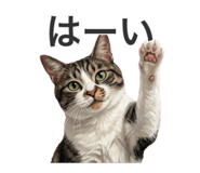 840881620