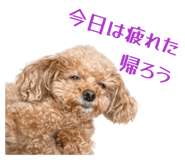 840881775