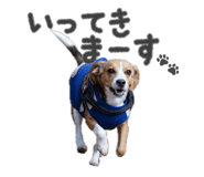 840881789