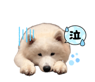 840881806