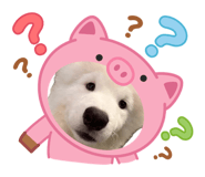 840881807