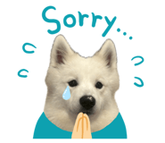 840881815