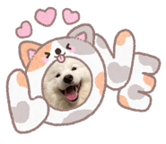 840881830