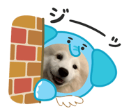 840881831
