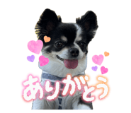 840881841