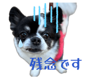 840881842