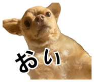 840882539