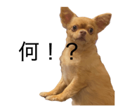 840882546
