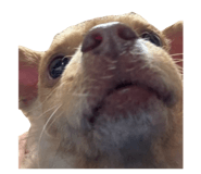 840882552
