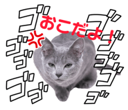 840882657