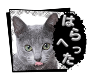 840882660