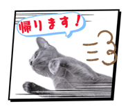 840882662
