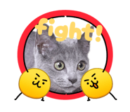 840882663