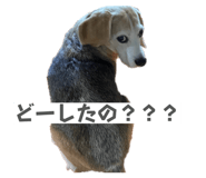 840882726