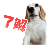 840882742