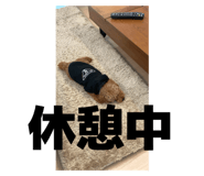 840882838