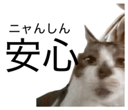 840883345