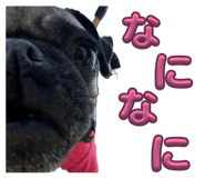 840883500