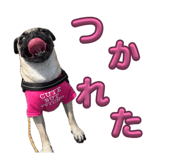 840883502